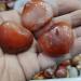 Natural Crystal Rough 3pcs Natural Heart-Shaped Colorful Red Carnelian Agate Flame Geode Stones - Buy Online on GoSupps.com