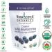 Nova Scotia Organics Freeze-dried Organic Wild Blueberries 42 grams - Buy Online on GoSupps.com