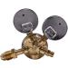 Sgnsvj Oxygen Gas Bottle Regulators O2 Reducing Pressure Inhaler Double Gauge Regulator Oxygen Tank Regulator - Buy Online on GoSupps.com