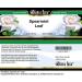 Bianca Rosa Spearmint Leaf - Cream (2 oz ZIN: 428628) - 3 Pack - Buy Online on GoSupps.com