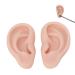 Realistic Silicone Ears for Otoplasty Display - Soft Simulation Props in Medium Skin Color - Perfect for Earrings - Buy Online on GoSupps.com