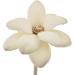 Kesheng 5X Rattan Sticks with Balls - White Flower Diffuser Decor & Replacement for Room Fragrance | Shop Internationally - Buy Online on GoSupps.com