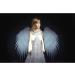 Spekular Light Blaster Creative Wings Kit - Transform Your Photography with Stunning Effects - Buy Online on GoSupps.com