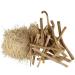 Merlion Naturals Shatavari Root Powder | 227gm/ 8OZ | Asparagus racemosus Supplement - Buy Online on GoSupps.com