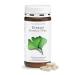 Sanc Bernhard Ginkgo capsules 75 mg |Ginkgo biloba extract |With 18.4 mg flavonglycosides & 4.9 mg ginkgolid-terpenlactons |240 capsules for 8 months