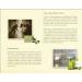 Organic Olive Dalan Olive Oil Body Oil - Nourishing & Hydrating | International Shipping Available - Buy Online on GoSupps.com