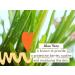 Babo Botanicals Fragrance-Free Diaper Rash Cream Spray - EWG Verified, Hypoallergenic, Non-Nano Zinc Oxide - 3 fl. oz. - Buy Online on GoSupps.com