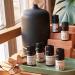 Juniper Ridge Christmas Fir Essential Oil - Evergreen Winter Scent for Diffusers & Aromatherapy - 5ml Pine & Fir Fragrance - Buy Online on GoSupps.com