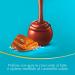 Lindt Lindor Caramello Salato Pralines au chocolat au lait et cristaux de sel avec caramel doux sal 200 g - Buy Online on GoSupps.com