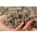 Herbal Cure - Mugwort Herbs Artemisia Mugwort Leaves Tea Ai Ye - Foot Bath - Sifted - Clean Fresh Natural Vegan - 454g (1 ) - Buy Online on GoSupps.com