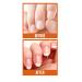 Barielle Nails Daily Strengthening Nail Cream with Biotin 1.5 oz - Strengthens Splitting, Brittle, Ridged, & Damaged Nails, Promotes Healthy & Revitalized Nails - Buy Online on GoSupps.com