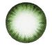 Matlens -Per trend colored contact lenses with starch green green extra Bella big eyes wan -a83 circle lens 2 lentils 1 contact lens container 1 care product 50ml -0.5 Dioptria 8.7 millimeters 2