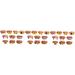NOLITOY 15 Pcs White Fake Joke Teeth Set | Vampire Denture & Braces | Children's & Adult's Funny Artificial Teeth - Buy Online on GoSupps.com