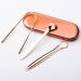 3-Piece Tongue Scraper Set with Travel Case - Professional Bad Breath Elimination Kit - Metal Dental Brush for Adults - Rose Gold - Buy Online on GoSupps.com