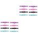 Minkissy 16 STK Flamingo Anti Strangle Mask Protective Mask Straem Masks Form Owsters Mask Extension Band Adjust Ear for Masks Earth Colored Mask Pearl Mask Face Mask Gurt 17.5*2cmx2Pcs