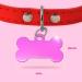 Ibera Gifts: Personalized Bone-Shaped Pendants for Medium to Large Dogs & Cats - Custom Engraved Collar Tags (Pink Crown) - Buy Online on GoSupps.com