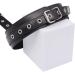 JITEM Portable Fitness Restraint Belt - Waterproof Easy to Clean Unisex | International Shipping Available - Buy Online on GoSupps.com