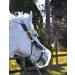 KM Elite ThinLine Flexible Filly Grazing Muzzle - Soft Light & Durable - New Design - Protect from Overeating (Medium) - Buy Online on GoSupps.com