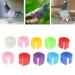 Perfk 50 Multi-Colored Aluminum Pigeon & Chicken Leg Rings - Identification Bands for Birds & Poultry - Buy Online on GoSupps.com