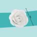 Buy Cake Company Fine Sugar Roses - 6 White Pieces (1 x 74g) - Perfect for Decorating Cakes | International Shipping Available - Buy Online on GoSupps.com