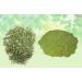 Stevia Leaf Powder-Stevia Rebaudiana-Raw Herbs-Madhu Tulsi-Mithi Tulsi-Stivia-Jadi Booti-Single Herbs (50 Gram) 50.00 g (Pack of 1) - Buy Online on GoSupps.com