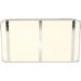 Syrisora Iron-Mouth Toothbrush Holder - Stylish Silver & White Acrylic Storage for Toothbrush & Toothpaste - Effective Bathroom Organization - Buy Online on GoSupps.com