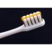WXPJMDFC Spiral Bristle Toothbrushes - Manual Deep Cleaning Pack of 4 for Stain & Plaque Removal | Body Care Essentials - Buy Online on GoSupps.com