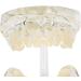 Transparent Removable Tooth Model for Teaching - Easy to Use Synthetic Resin Dental Practice Tool - Buy Online on GoSupps.com