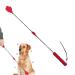 Poteau de flirt pour chiens jouet interactif de b ton de flirt pour animaux de compagnie bauette extensible quipement de flirt multifonctionnel pour animaux de compagnie fournitures pour animau