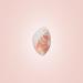 Bellamianta Beauty Blender - Buy Online on GoSupps.com