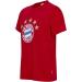 FC Bayern Munich Kids T-Shirt RED - 5 Stars Logo - Shop FCB Merchandise for Kids Online - Buy Online on GoSupps.com