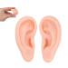 Soft Silicone Ear Model for Beginners - Realistic Ear Piercing Practice & Earring Display Prop (Light Skin) - International Shipping Available - Buy Online on GoSupps.com