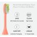 4 Pack Mango Replacement Brush Heads for HY1100 and HY1200 Philips One Sonicare Electric Toothbrushes - Buy Online on GoSupps.com