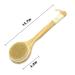 Natural Bristle Bath Body Brush Set for Dry/Wet Brushing - Exfoliating Skin, Boosting Blood Circulation, and Improving Skin Health - Set of 2 - Buy Online on GoSupps.com