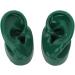 Simulated Ear Model - Soft Silicone Acupuncture Ear Model (Green) for Clinics | High Toughness & Durability - Buy Online on GoSupps.com