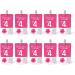 Neo Konjac Jelly Hibiscus 1box (150ml x 10 packs) 4 Calories per Pouch Sugar Free Low Calories Fruit Flavor Jelly with Low carb/Drinkable Zero Sugar Jelly Dessert - Buy Online on GoSupps.com