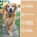 Pets Purest All Itch and Immunity Support Supplement Drops 50ml - Natural Skin Aid for Dogs & Cats - Paw Licking, Itchy Ears, Irritation, Watery Eyes - Buy Online on GoSupps.com