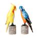 Sculptures Delicate Wooden Bird Desktop Decors Home Use Wood Craft Parrot Ornaments Desktop Decoration