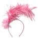 hgnxa Feather Headband Fascinator Headband Cosplay Hair Hoop 1920s Style Headpiece Vintage Feather Hair Accessory for Women Pink