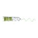 Pistach Skincare Pistachio Oil Hand Cream - Hydrating and Nourishing Formula with Vitamin E for All-Day Protection - 2.4 fl oz - Buy Online on GoSupps.com