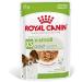 ROYAL CANIN X-Small Adult | 12 x 85 g | Wet Food for Adult and Especially Small Dogs | From 10 Months | With Appetizers in Sauce | In Pouch Bag - Buy Online on GoSupps.com