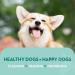Pet Odour Eliminator: All-Natural Dog & Cat Urine Cleaner - 1 Litre - Buy Online on GoSupps.com