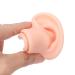 3 Pairs of Soft Silicone Ear Models with Acrylic Holder - Perfect for Piercing Practice & Presentation - Buy Online on GoSupps.com
