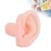 Professional Human Ear Model - Durable & Waterproof for Ear Impression Exercises - Buy Online on GoSupps.com