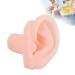 Realistic Left Human Ear Model - Silicone Ear for Students Doctors & Display | Ideal for Ear Exercises & Showcases - Buy Online on GoSupps.com
