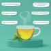 Handpicked Spearmint Tea Bags (100 Count) - Non-GMO, Caffeine Free, Raw & 100% Pure from India | Eco-Conscious Round Tea Bags - Pack of 1 - Buy Online on GoSupps.com