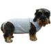 Fashion Dog Cura Pets Surgical & Health Bodysuit for Dogs & Cats - 75 cm | International Shipping Available - Buy Online on GoSupps.com