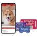 Buy DogTap Light Big - Digital NFC Dog Tag for Medium to Large Dogs | Waterproof Flexible Silicone | QR Code & Contact Details | International Shipping - Buy Online on GoSupps.com