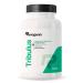 Tribulus Terrestris 1000 mg par G lule | Titr en Saponines 10:1 | Energie & Endurance | Favorise la Croissance Musculaire les Performances Sportives et la Libido | 90 G lules Vegan | Revogenix