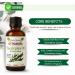 OTTO AURA Pure Eucalyptus Essential Oil 4 Fl Oz (118ml) Premium Grade with Glass Dropper - Buy Online on GoSupps.com